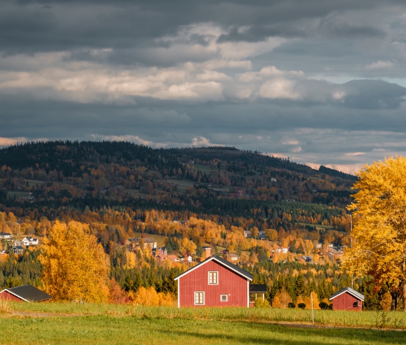 A beautiful shot of a landscape in Autumn